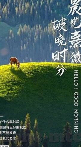 国产麻豆亚洲av片在线观看-不妨以国产麻豆亚洲AV片,网络时代的文化与伦理考量为题