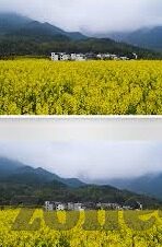 国产视频91麻豆-流金岁月与国产视频91麻豆的迷思